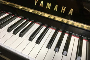 u10a_key