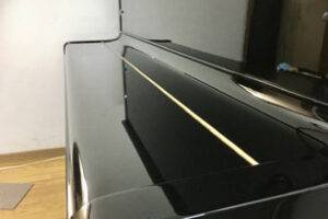 ヤマハ U3F