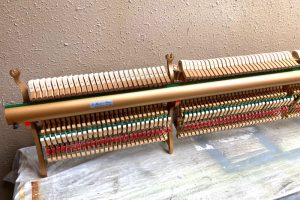 ns15_acti1