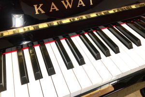 ns15_key1
