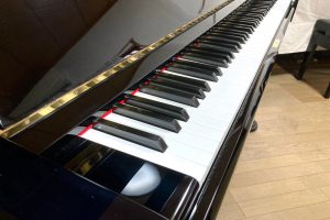 ns15_key2